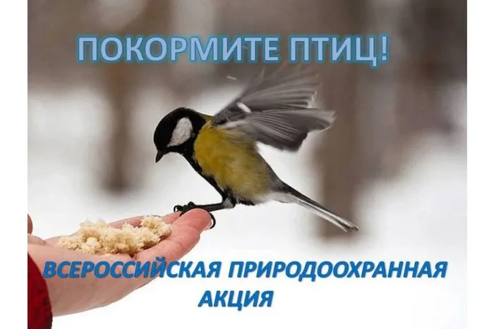 a-UiG8SXs5eh_EX_yLZUrBPVytU1jwODsSeuwkz9Qg1UH2zTPphI0rkYJG57a-PP0DZL-sr503KqNrbVgAGK52l4