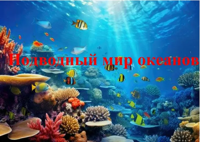TlEaT1UpTQMC8Lt-Gvk5MnR-YwV4_nbLgR9meODnvnzkf9A6gctFrcDFcrFrkyPLBLriwdZdQx9o-H9SFjl6xGTT