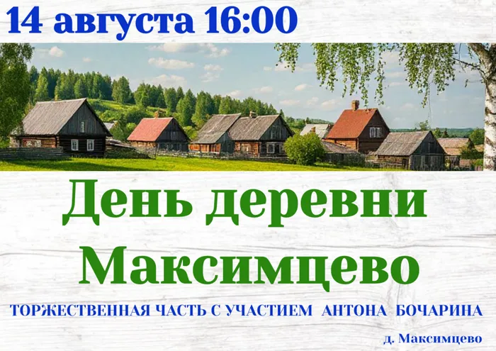 День деревни Домотканово (5)